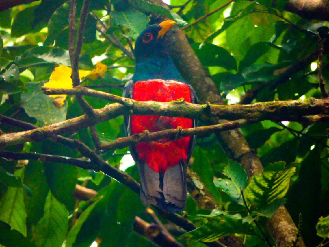 lago-santa-rosa-gal-003