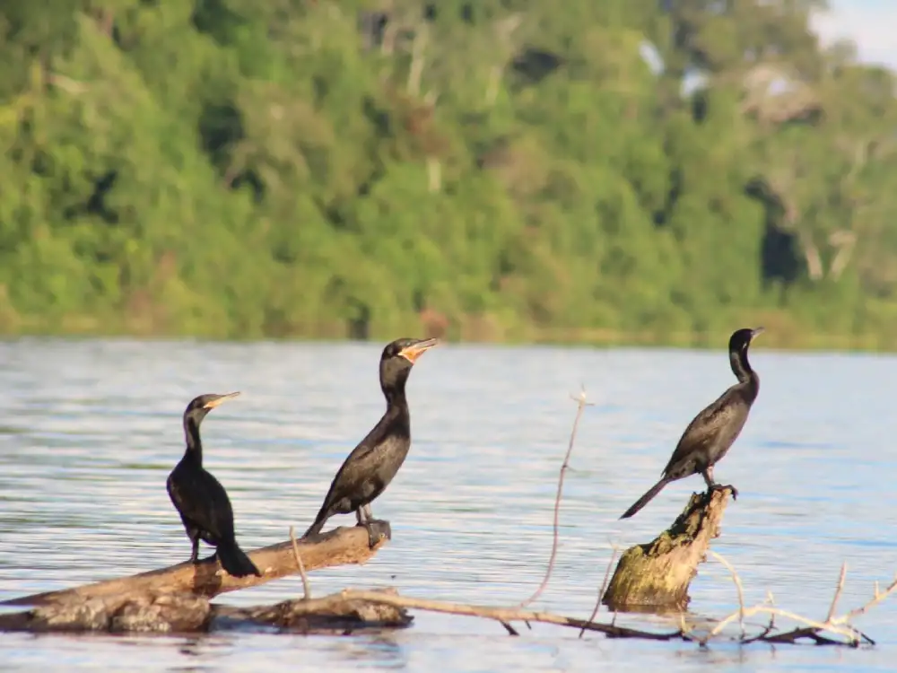 lago-santa-rosa-gal-006